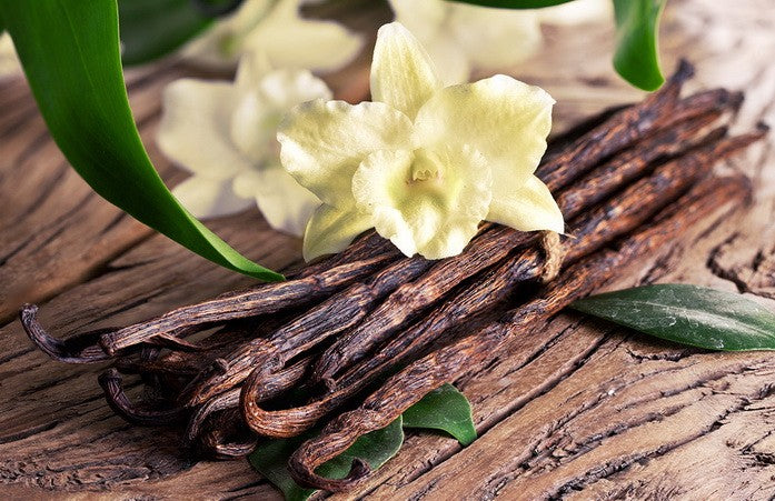 Fragancia Vainilla gotero de 20ml (para jabón y vela)