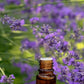Fragancia Lavanda Ámbar gotero 30ml (apto para velas)