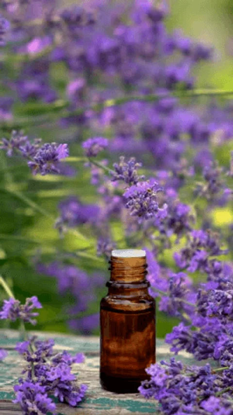 Fragancia Lavanda Ámbar gotero 30ml (apto para velas)