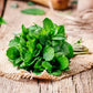 Fragancia menta gotero de 20ml (apto jabón y vela)