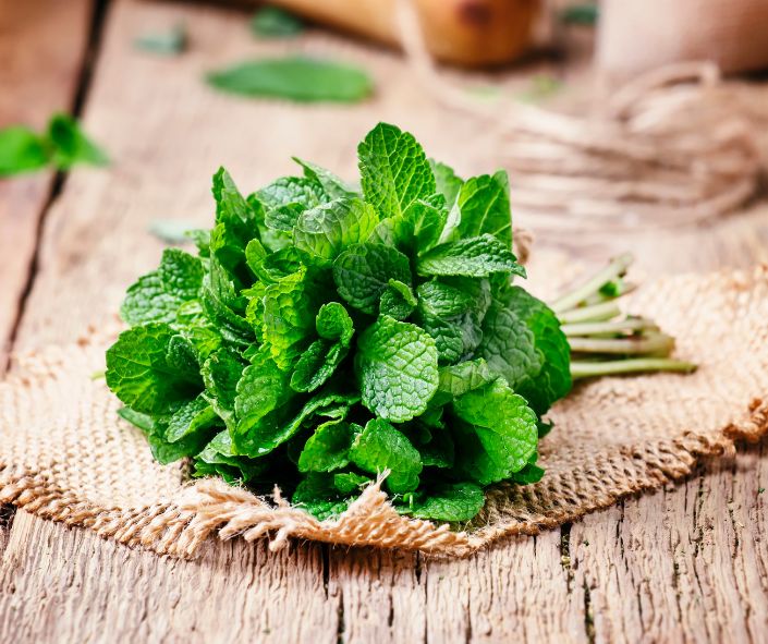 Fragancia menta gotero de 20ml (apto jabón y vela)