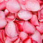 Fragancia Pétalos de rosa gotero de 20ml (para jabón y vela)
